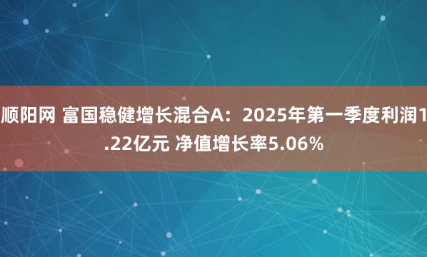 顺阳网 富国稳健增长混合A：2025年第一季度利润1.22亿元 净值增长率5.06%