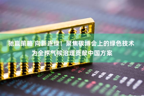 驰赢策略 向新逐绿！聚焦碳博会上的绿色技术 为全球气候治理贡献中国方案