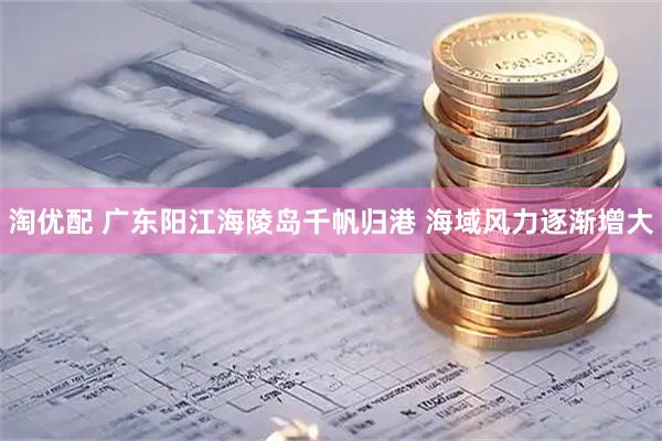 淘优配 广东阳江海陵岛千帆归港 海域风力逐渐增大