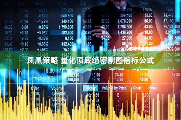 凤凰策略 量化顶底绝密副图指标公式