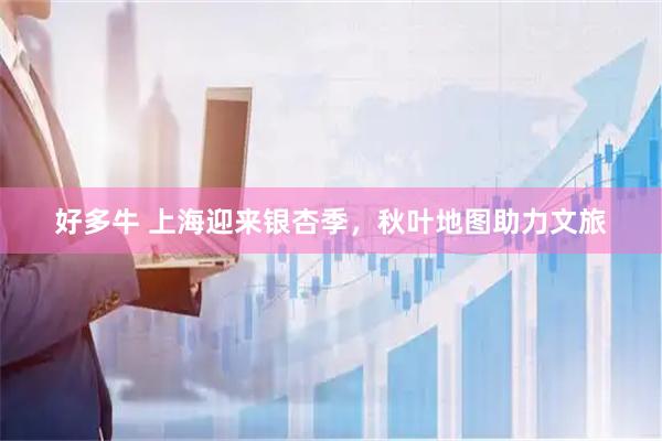 好多牛 上海迎来银杏季，秋叶地图助力文旅
