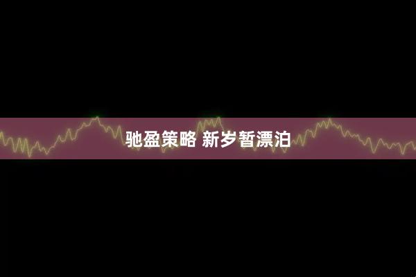 驰盈策略 新岁暂漂泊