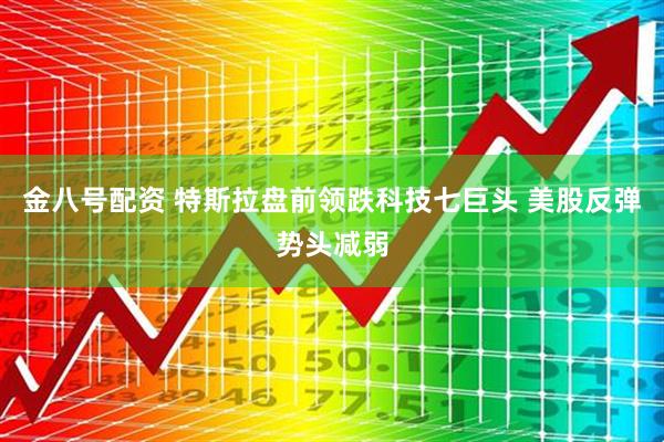 金八号配资 特斯拉盘前领跌科技七巨头 美股反弹势头减弱