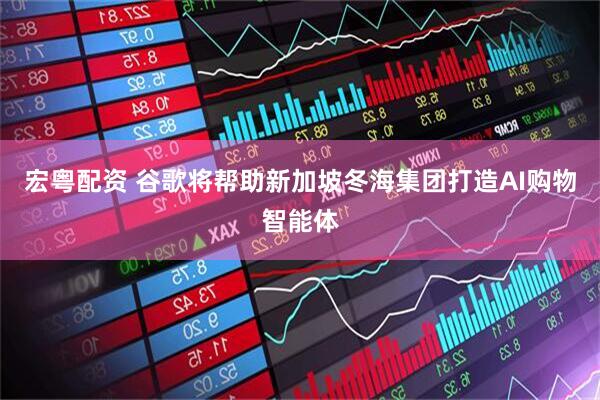 宏粤配资 谷歌将帮助新加坡冬海集团打造AI购物智能体