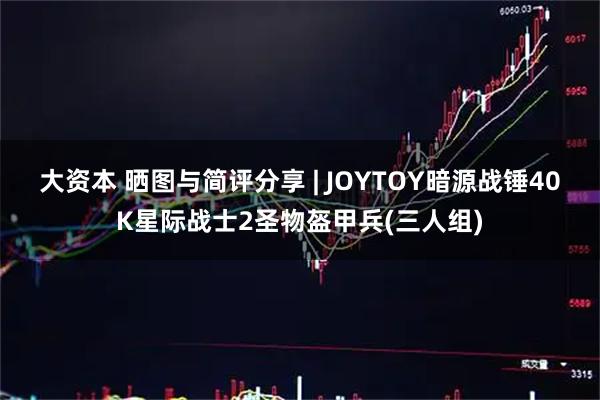 大资本 晒图与简评分享 | JOYTOY暗源战锤40K星际战士2圣物盔甲兵(三人组)