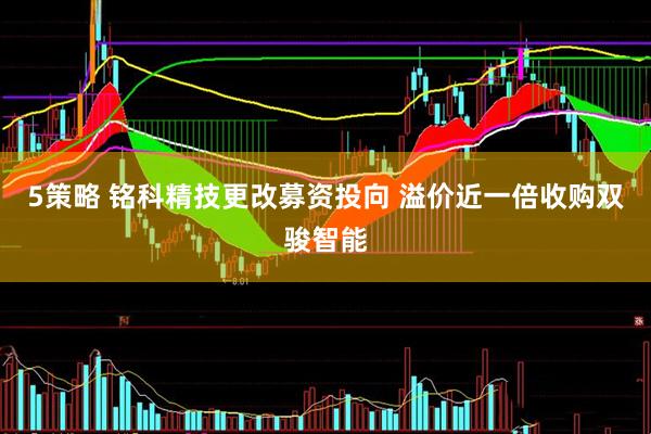 5策略 铭科精技更改募资投向 溢价近一倍收购双骏智能